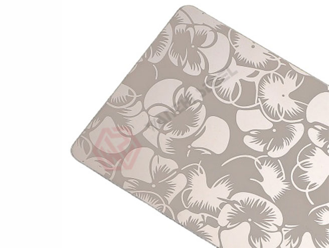 Etched Stainless Steel Sheet